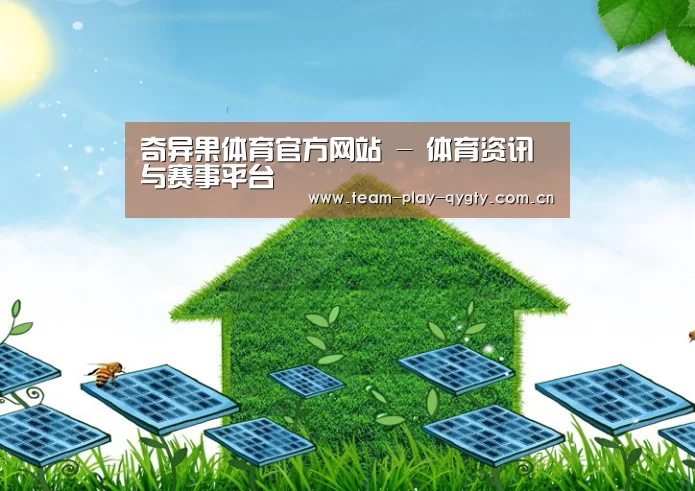 奇异果体育公司