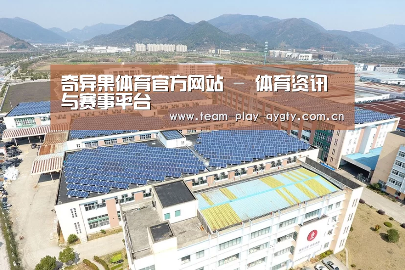 案例展示二