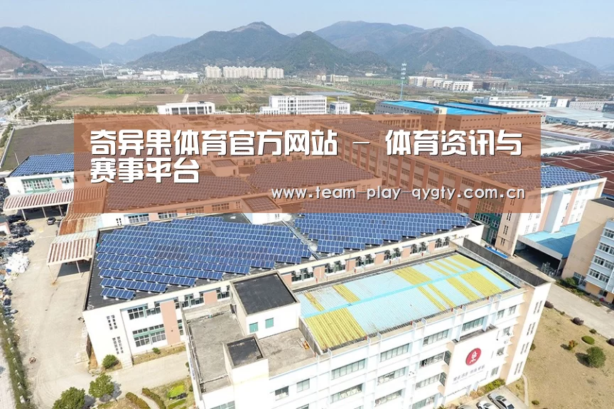 案例展示一