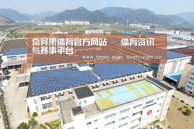 案例展示四