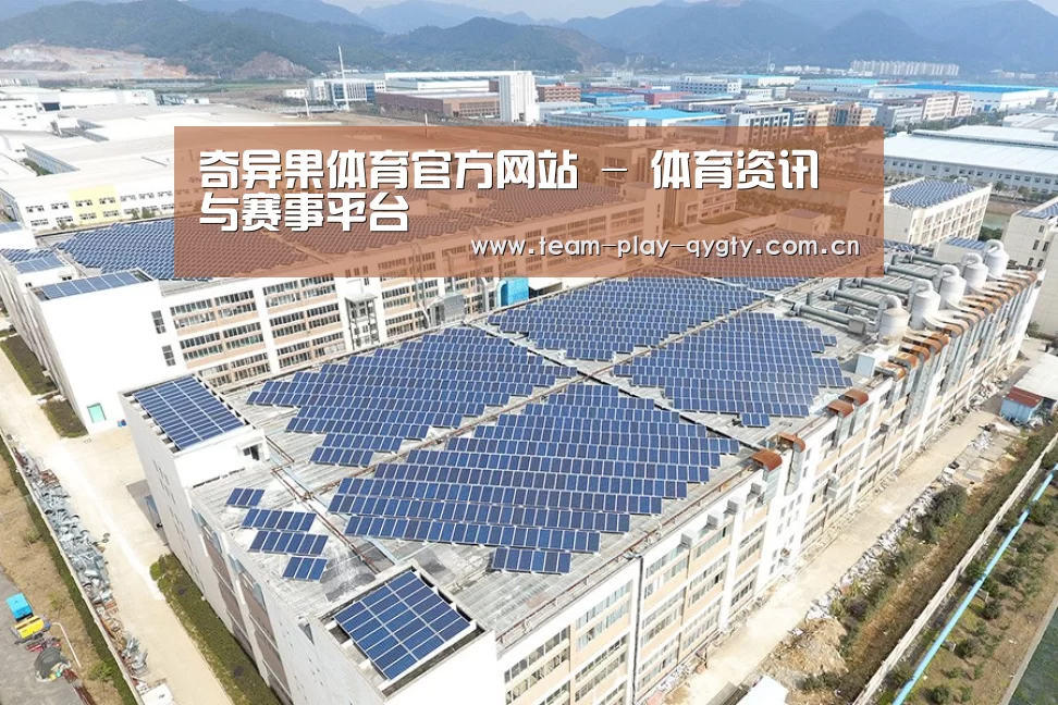 案例展示二