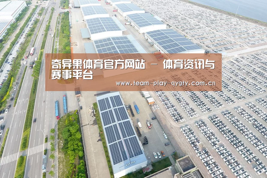 案例展示一