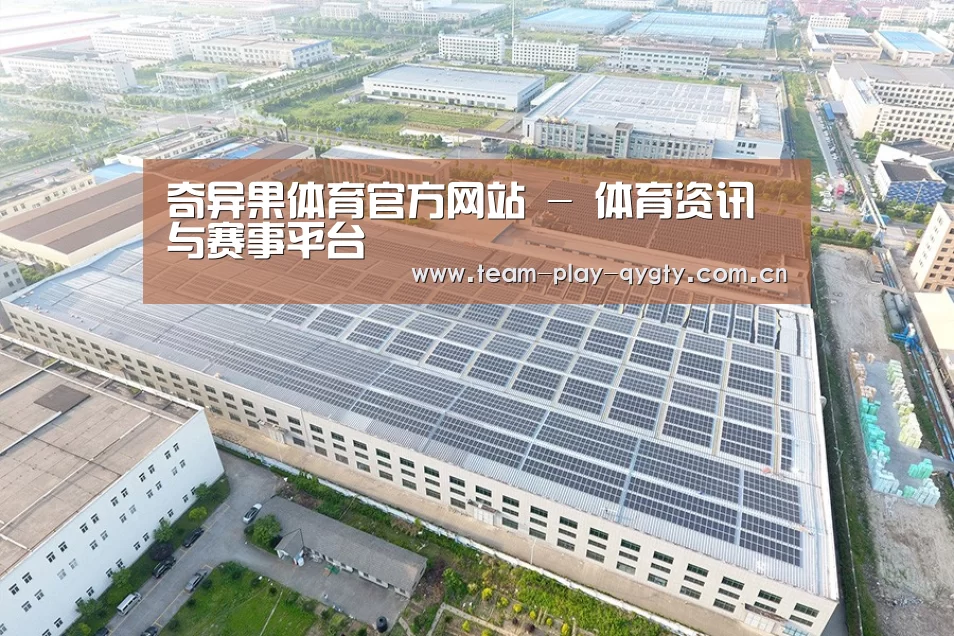 案例展示三