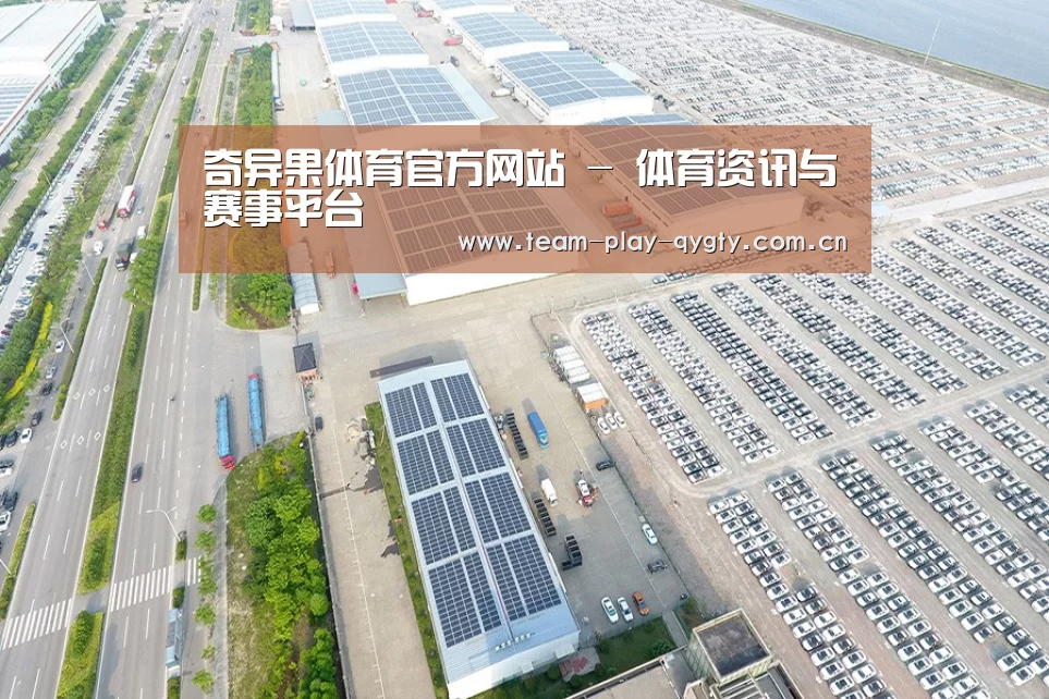 案例展示三